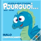 Pourquoi... : Malo L'Hippocampe