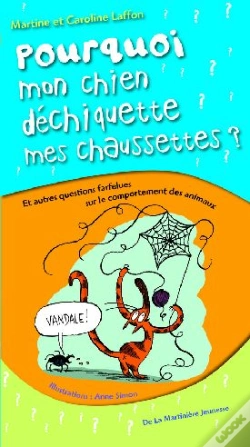 Capa do artigo Pourquoi Mon Chien Déchiquette Mes Chaussures