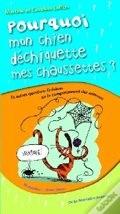 Capa do artigo Pourquoi Mon Chien Déchiquette Mes Chaussures