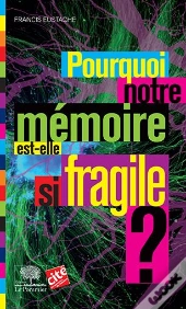 Pourquoi Notre Mémoire Est-Elle Si Fragile ?