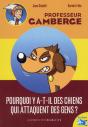 Pourquoi Y A-T-Il Des Chiens Qui Attaquent Les Gens ? - Preview