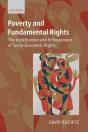Poverty And Fundamental Rights - Preview