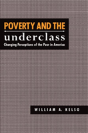 Poverty And The Underclass - Preview
