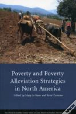 Capa do artigo Poverty & Poverty Alleviation Strategies