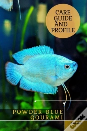 Capa do artigo Powder Blue Gourami