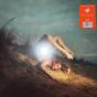 Powders - Vinil - Preview