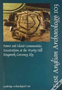Capa do artigo Power And Island Communities