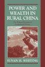 Power And Wealth In Rural China - Preview