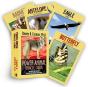 Power Animals Oracle Cards - Preview