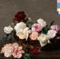 Power, Corruption and Lies (Deluxe Edition) - CD - Preview