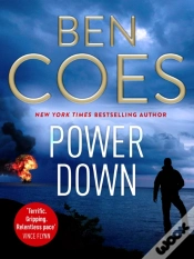 Capa do artigo Power Down