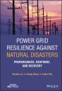 Power Grid Resilience Against Natural Disasters - Preview