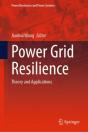 Power Grid Resilience - Preview