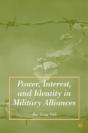 Power, Interest, And Identity In Military Alliances - Preview