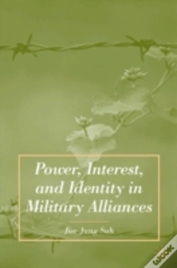 Capa do artigo Power, Interest, And Identity In Military Alliances