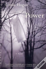 Capa do artigo Power