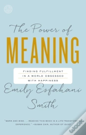 Capa do artigo Power Of Meaning
