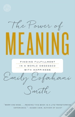 Capa do artigo Power Of Meaning