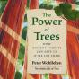 Power Of Trees - Preview
