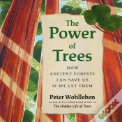 Capa do artigo Power Of Trees