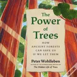 Capa do artigo Power Of Trees