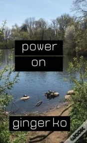 Capa do artigo Power On