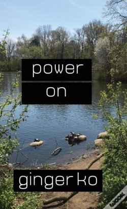 Capa do artigo Power On