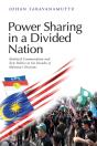 Power Sharing In A Divided Nation - Preview