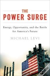 Capa do artigo Power Surge
