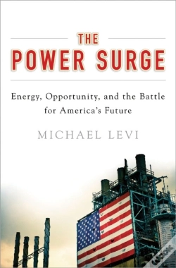 Capa do artigo Power Surge
