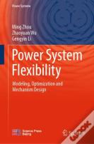 Power System Flexibility