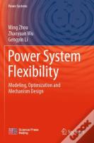 Power System Flexibility