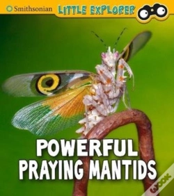 Capa do artigo Powerful Praying Mantises