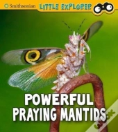 Powerful Praying Mantises