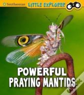 Powerful Praying Mantises