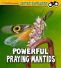 Powerful Praying Mantises - Preview
