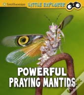 Powerful Praying Mantises