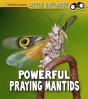 Powerful Praying Mantises - Preview