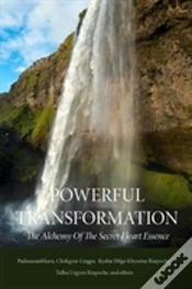 Capa do artigo Powerful Transformation