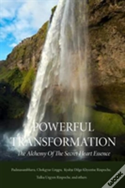 Capa do artigo Powerful Transformation