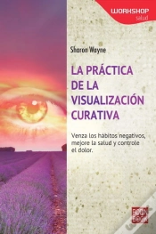 Capa do artigo Práctica De La Visualización Curativa, La