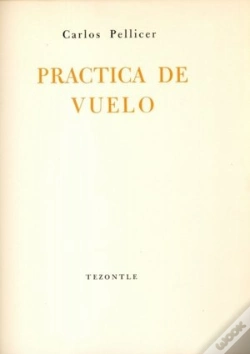 Capa do artigo Practica De Vuelo  