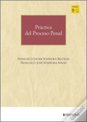 Capa do artigo Practica Del Proceso Penal