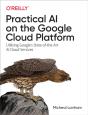 Practical Ai On The Google Cloud Platform - Preview