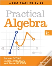 Capa do artigo Practical Algebra