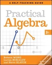 Capa do artigo Practical Algebra