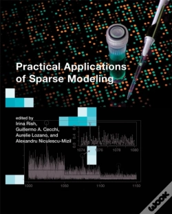 Capa do artigo Practical Applications Of Sparse Modeling