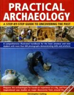 Capa do artigo Practical Archaeology
