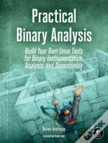 Practical Binary Analysis