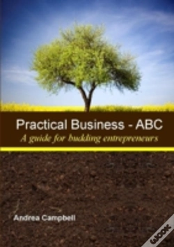 Capa do artigo Practical Business - Abc (A Guide For Budding Entrepreneurs)
